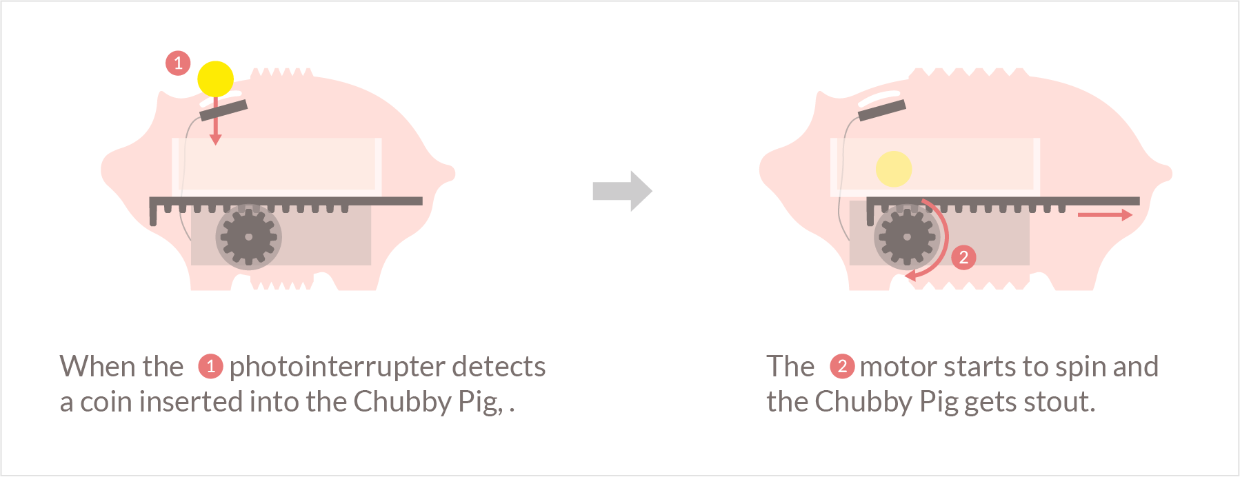 How the Chubby Pig works